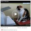 likevideo2.jpg